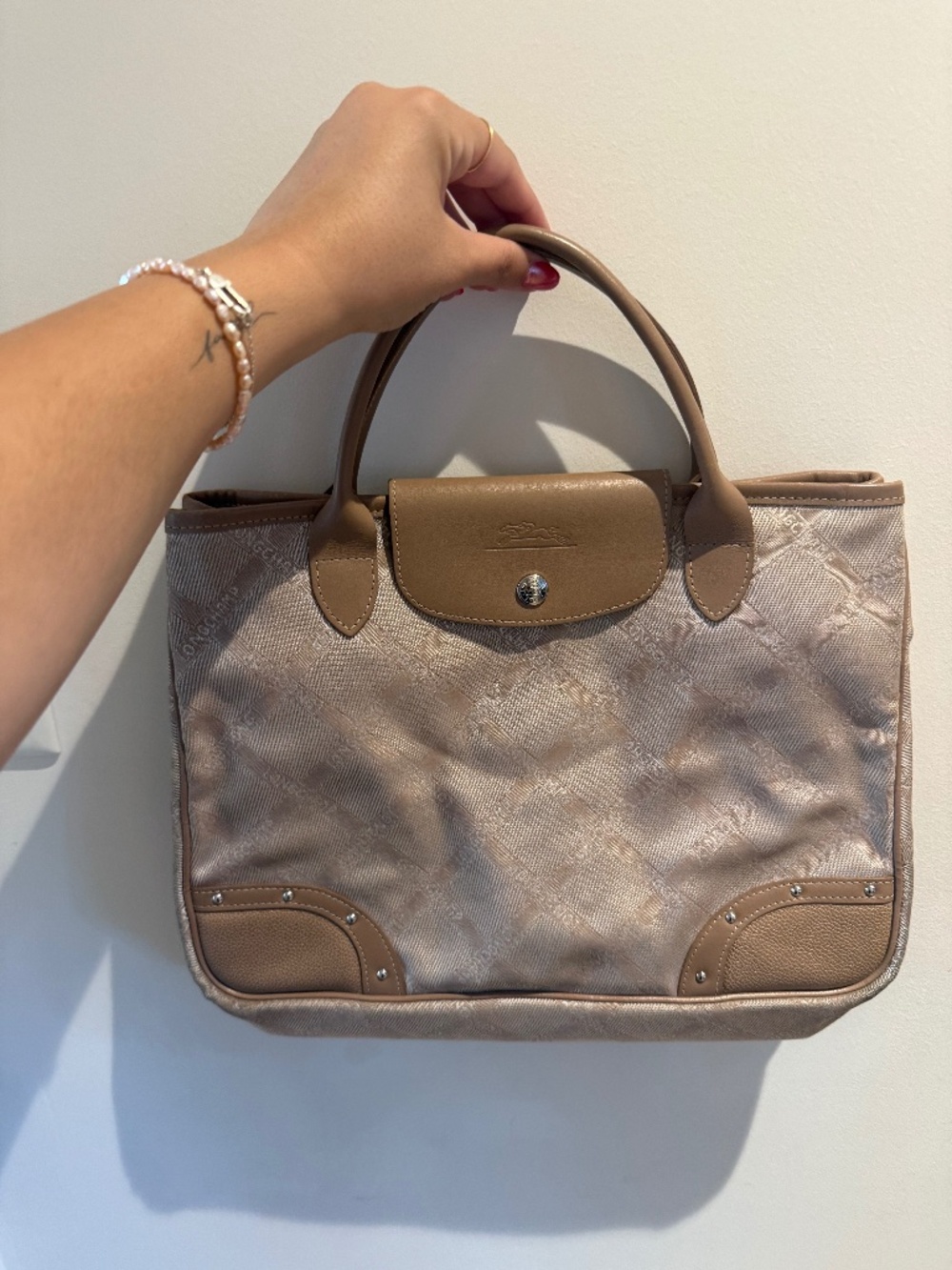 Longchamp bag